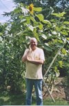 Charles L. "Charlie" Lee photos